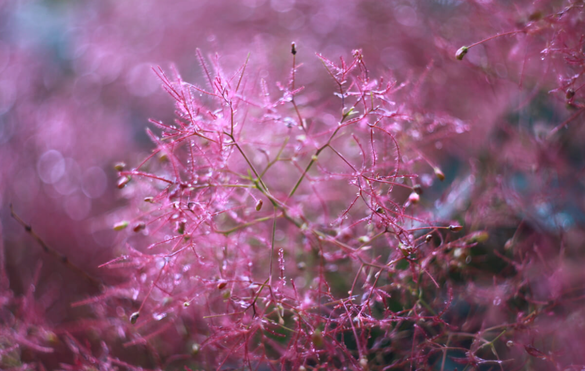 PrismLens Photography - Image 4