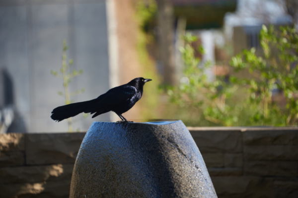 EpicVision Photography - Image 7